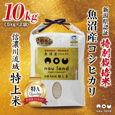 ふるさと納税 十日町市 農家直送 魚沼産 コシヒカリ 特別栽培米 5kg ×2袋 計10kg 新潟県 十日町市 のうランド