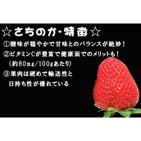 ふるさと納税 『予約受付』濃厚苺 さちのか 250g×6パック(合計1.5k) 濃厚いちご 苺 イチゴ 果物 フルーツ .. 佐賀県唐津市