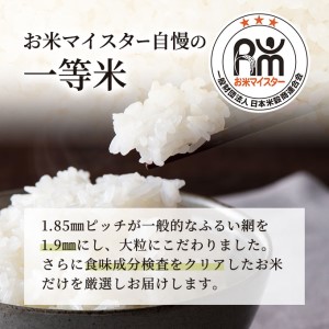 令和5年産 雪室貯蔵 無洗米 お米マイスター厳選 魚沼産 コシヒカリ 1等米 2.5kg（ 米 こしひかり お米 魚沼産コシヒカリ 魚沼産こしひかり 新潟 魚沼 こめ コメ おこめ 白米 ）