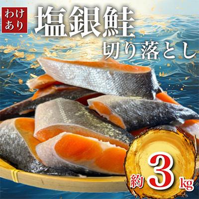 ふるさと納税 鮭 いすみ市 人気の海鮮お礼品 チリ産 定塩 塩銀鮭切り落とし(端材)約3kg