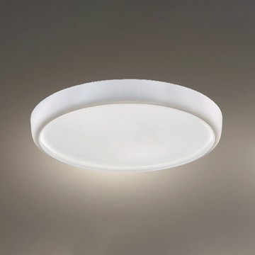 40W三色變光吸頂燈 B102-81-24962