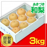 ☆フルーツ王国山形☆和梨(あきづき) 秀品 3kg FU22-028