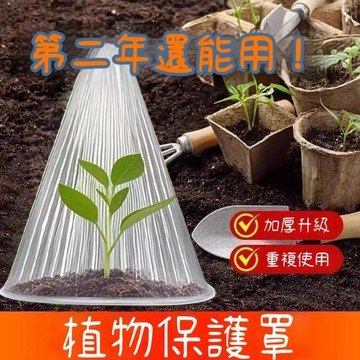 臺灣出貨🔥10入 植物保護育苗保護罩 育苗罩加大厚款 育苗植物防蟲罩 植物保護罩 植物透明罩 種植保護罩 植物罩NVS8