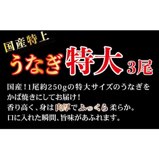 ふるさと納税 福井県 越前市 国産！特上うなぎのかば焼き 約250g × 3尾