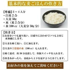 国内産もっちもち大麦 950g×10袋 チャック付き α化処理 ポイント消化 雑穀米 食品 美容 ダイエット 国産 送料無料 ※北海道・沖縄の方は別途送料加算