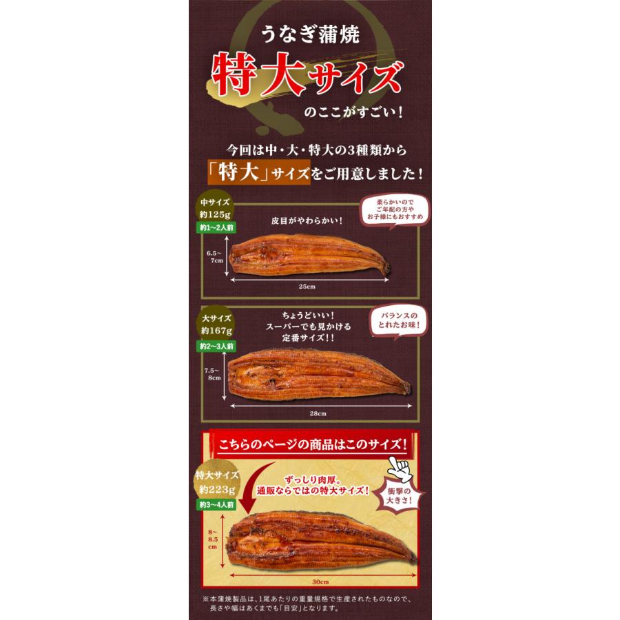 うなぎ 国産 熨斗対応 鹿児島県産 特大うなぎ蒲焼2尾セット（約440g 2尾） 200g以上の特大うなぎ 2尾入 丑の日 土用丑 土用 かば焼き 鰻 あかまる専稼