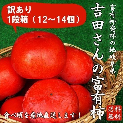 岐阜県産訳あり「吉田さんの富有柿1段箱L〜2Lサイズ 12〜14個」（送料無料）