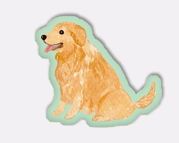 金毛尋回犬 黃金獵犬 小狗 抱枕 咕𠱸