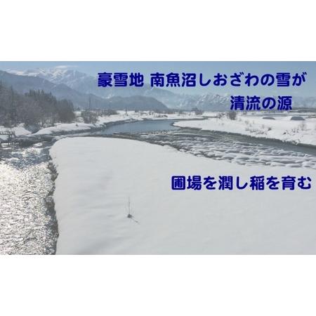 ふるさと納税 生産者限定 契約栽培　南魚沼しおざわ産コシヒカリ（10Kg×3ヶ月） 新潟県南魚沼市