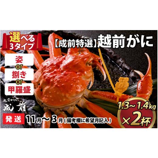 ふるさと納税 福井県 福井市 美味しさ直送！ 越前がに（1.3kg〜1.4kg）×2杯捌…