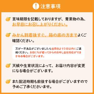 ふるさと納税 上神農園の早生みかん 約10kg 広島県呉市