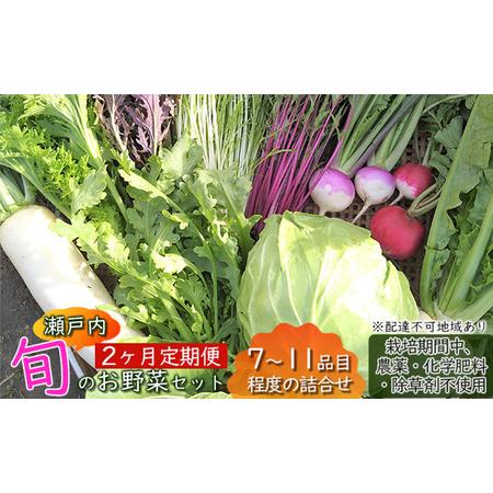 ふるさと納税 2ヶ月 定期便 瀬戸内「旬」のお野菜セット 7〜11品目程度の詰合せ 野菜 農薬 化学肥料 除草剤不使用 岡山 M’s farm 岡山県瀬戸内市