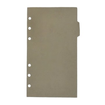 Raymay 藤井 Davinci 聖書尺寸手冊用分類紙  100 x 170mm  6枚  1包