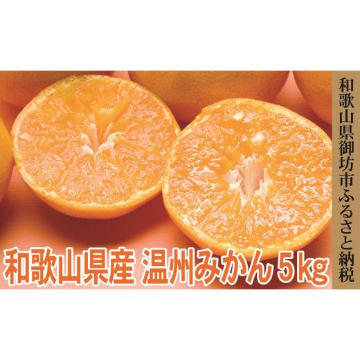 ふるさと納税 和歌山県 御坊市 御坊市　旬の野菜・果物定期便（春・夏・秋・冬）4回　(2)