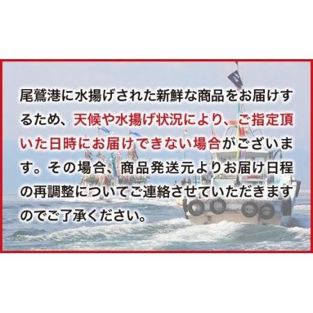 ふるさと納税 ボイルヤリイカ 約１.５kg（300g × ５袋）セット（到着日時指定必須商品）小分け 三重県尾鷲市 人気 大満足 返礼品  MT-9 三重県尾鷲市