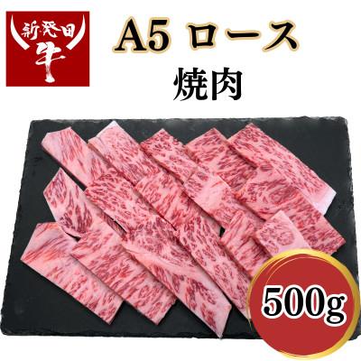 ふるさと納税 新発田市 新発田牛A5ロース(焼肉)500g