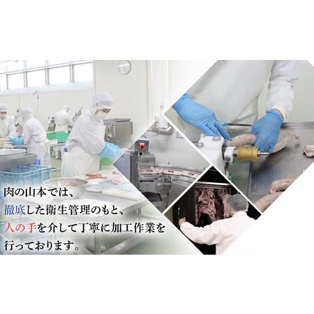 ふるさと納税 特撰 生ラム (冷凍）タレ付 600g＜肉の山本＞ ラム肉 羊肉 ジンギスカン タレ ラム 鍋 北海道 北海道千歳市