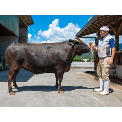 ふるさと納税 神戸ビーフ 牝 リブロースすきしゃぶ 380ｇ[484] 神戸牛 兵庫県多可町