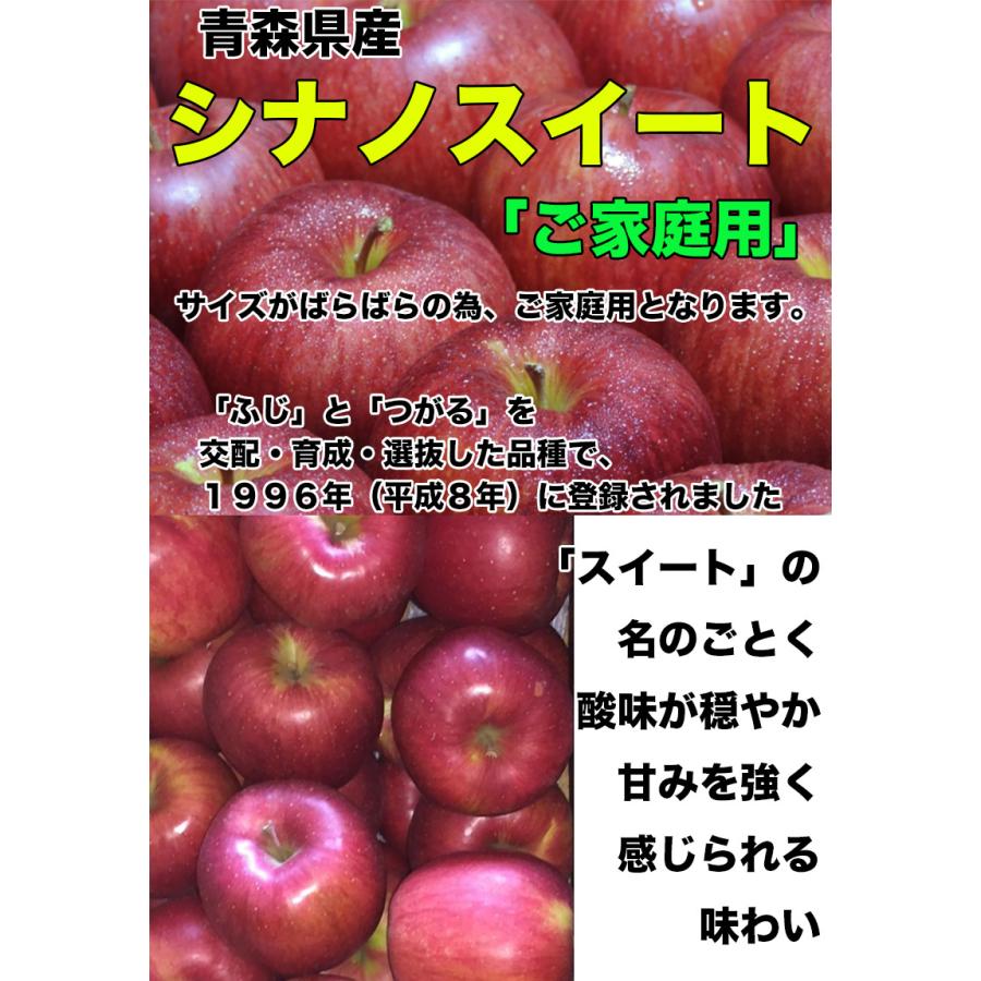 りんご 10kg ご家庭用 青森県産 シナノスイート 10kg 送料無料 りんご 10Kg ご家庭用 お試し シナノスイート 青森 生食用 SDGS