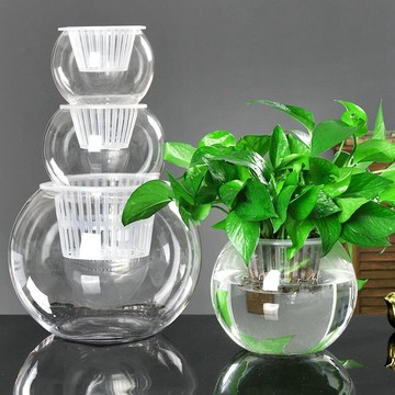 【新款上市】透明花瓶 花器 水培植物玻璃瓶水養綠蘿花瓶花盆大號透明玻璃圓球魚缸器皿容器