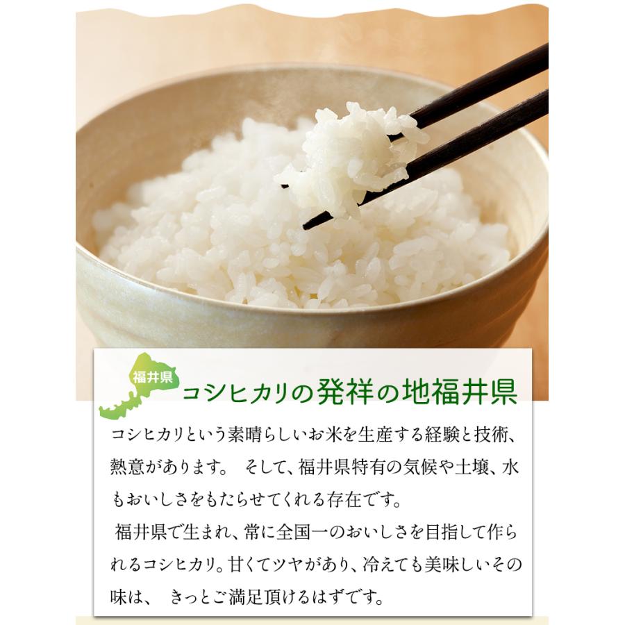 いちほまれ  2kg 真空パック 令和5年福井県産 新米入荷 送料無料 福井県のブランド米