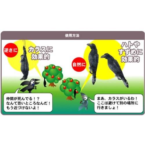 ミツギロン 鳥獣害用品 迷惑鳥撃退 天然羽毛リアルタイプ イヤガラス EG-38 ブラック