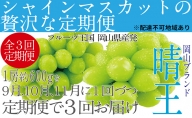 ぶどう 定期便［2023年先行予約］9月・10月・11月発送 シャインマスカット 晴王 1房 約600g 岡山県産