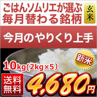 新米 令和5年産(2023年)  栃木県産 なすひかり 精選玄米（10kg｜2kg×5袋）