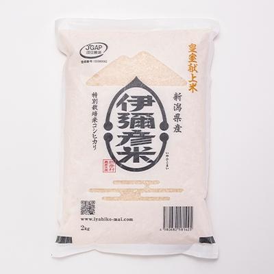 ふるさと納税 弥彦村 精米2kg×2袋　パックごはん4パック