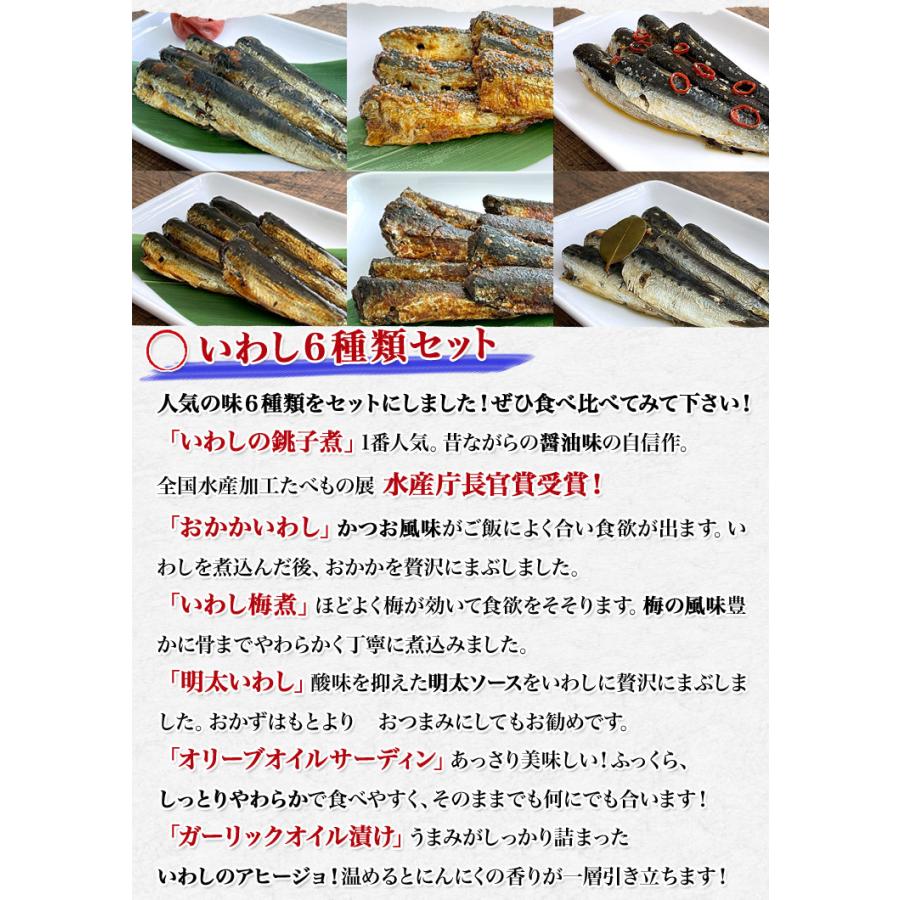 国産いわし６種 食べ比べ 100g×6種 常温 惣菜 メール便送料無料 代引き不可 着日指定不可 グルメ 食品 お歳暮 ギフト クーポン