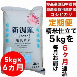 ふるさと納税 新潟県旧中郷村減農薬特別栽培米コシヒカリ 5kg（5kg×1袋） 新潟県