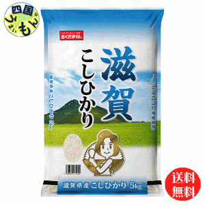 幸南食糧  滋賀県産　こしひかり 白米  令和5年産 5kg 3袋（15kg)　