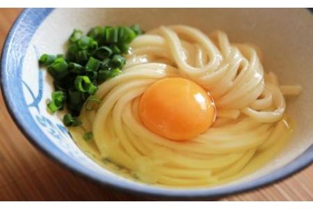 讃岐生うどん12食入（1袋3食入×4袋）＊鎌田醤油だし醤油付＊  池上製麺所監修！｜うどん 生麺