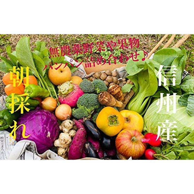 YORIDORI 朝採れ 信州産 野菜 と 果物 詰め合わせ セット 無農薬 栽培