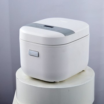 110V電飯煲220伏電飯煲底糖2升迷你兩人用不粘鍋電飯鍋 99購物節