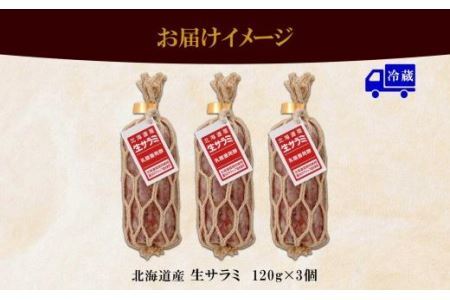 北海道産 生サラミ 120g 3個 セット サラミ 豚肉 豚 ポーク ブロック 乳酸菌 発酵 熟成 おつまみ 国産 冷蔵 パーティー ギフト 札幌バルナバハム バルナバフーズ 送料無料 北海道 札幌市