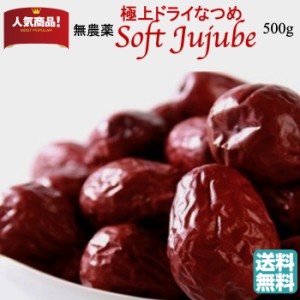 無農薬 極上ドライなつめSOFTJUJUBE 500g 送料無料 オーガニック 有機棗 無添加 なつめ ナツメ茶 干し 乾燥棗 サムゲタン 薬膳 妊婦 鉄分