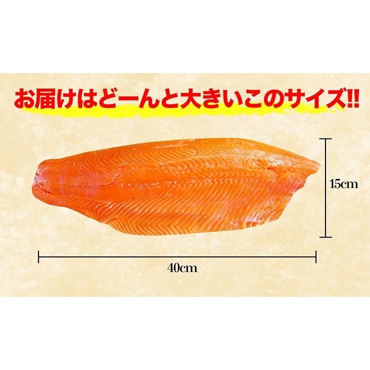 海鮮 サーモン トラウト お刺身OK 半身 チリ産 皮無し・骨取り 送料込