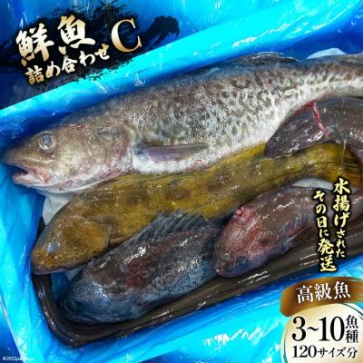 ふるさと納税 気仙沼市 鮮魚 詰め合わせ C 3〜10高級魚種 120サイズ分 産地直送 旬 魚介 魚 さかな