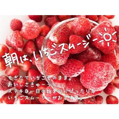 ふるさと納税 ファームうかわの冷凍いちご2kg 北海道栗山町