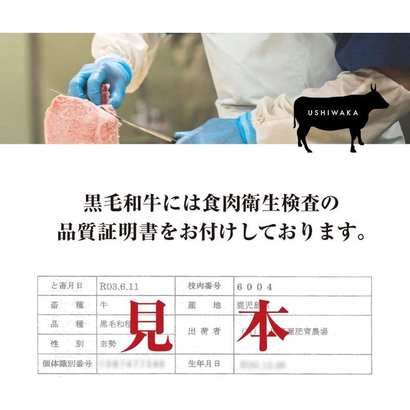 牛若500g 鹿児島特選A5黒毛和牛 サーロインスライス (3名様用) ギフト すき焼き しゃぶしゃぶ 九州精肉工場