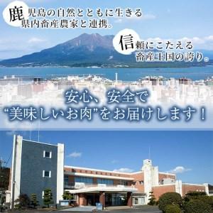 ふるさと納税 a3-119 ＜鹿児島黒豚＞しゃぶしゃぶセット 計900g 鹿児島県志布志市