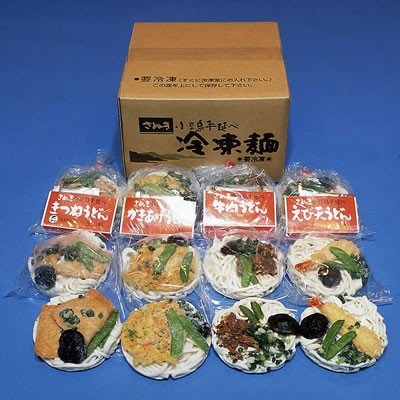 創麺屋 冷凍調理手延うどん12食セット RF-120