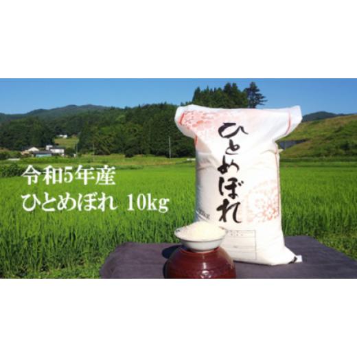 ふるさと納税 岩手県 一関市 令和5年産 大自然で育てたひとめぼれ 10kg 新米