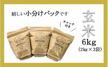 甘くてもっちり、冷めても美味しいお米「きらほ」玄米 計6kg（2kg×3袋）※令和5年産米