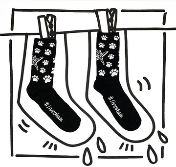 義大利Italy 潮流運動襪livesbam 義大利經典原創設計製造 ZAMPA