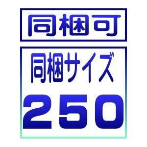 養殖えび　ブラックタイガー有頭　25尾　1.3ｋｇ