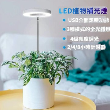 全館免運  LED 植物燈 植物生長燈 多肉植物燈 天使光環 盆栽燈  室內植物燈 植物補光燈 太陽燈 天使環植物燈