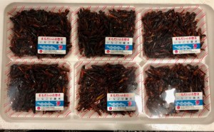 いなご 甘露煮 80g入り×6パック（冷蔵便）