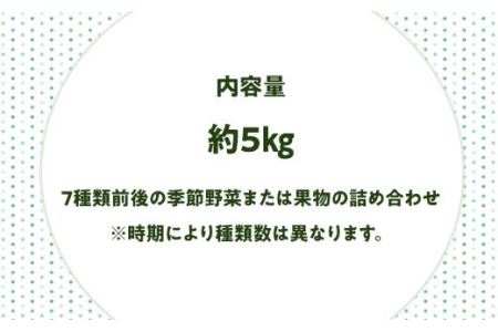 旬をお届け！和歌山市産・野菜または果物の詰め合わせ